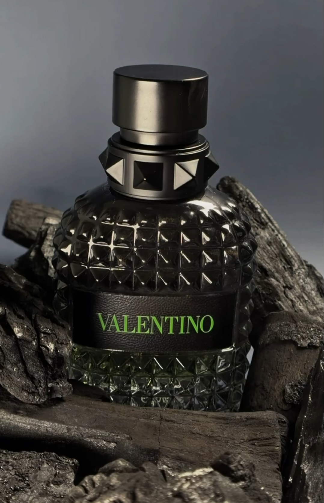 Cassiopea fragrancedd